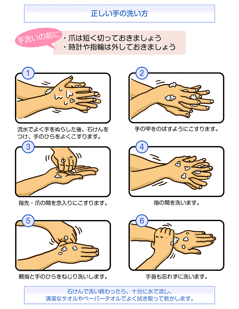 正しい手の洗い方でウィルス予防