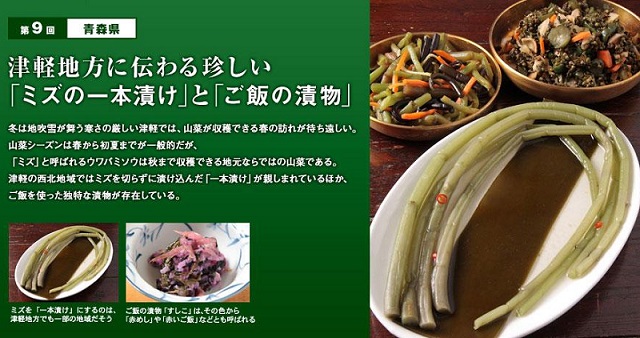 引用:東海漬物　青森県の『ミズの一本漬け』　