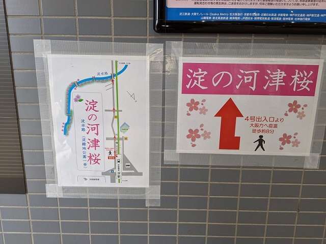 京阪の淀駅から淀水路の桜までの徒歩でのアクセス