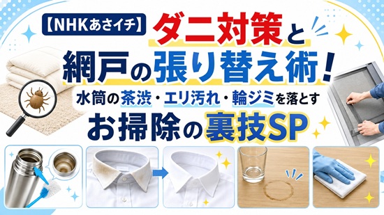 【ダニ対策】布団の天日干しは意味がない!?あさイチ流・新常識