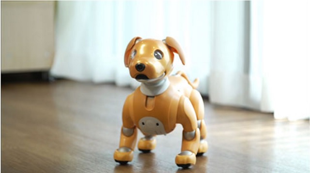 aibo/Sony