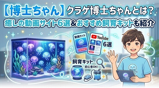 おすすめのクラゲ飼育キット2選の画像