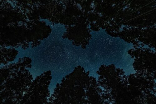 もっきの森の星空は流星群も見ることができます