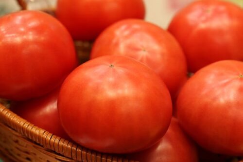 【トマト買い方】美味しい！トマト選び方や見分け方