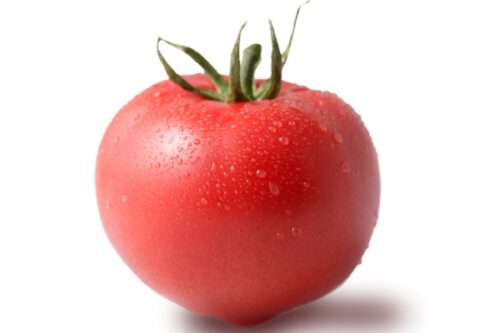 【トマト買い方】新鮮！トマト見分け方や選び方のコツ