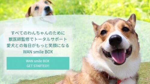 「WAN smile BOX（ワンスマイルボックス）」の画像