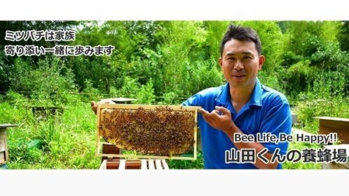 「山田くんの養蜂場」
