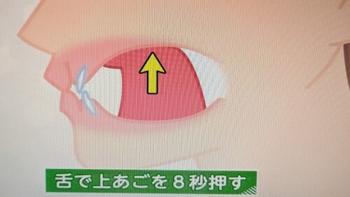 引用：あさイチ『舌で上あごを8秒間押す』