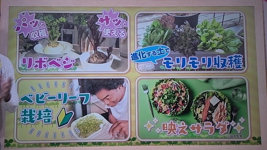 あさイチ「リボベジ」画像