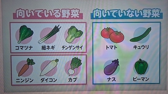 あさイチ「再生栽培」の画像