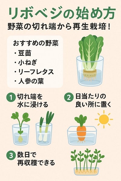リボベジの始め方の画像