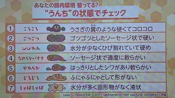 引用【あさイチ】うんちの状態チェック表