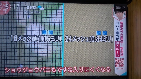 コバエの原因と最新対策