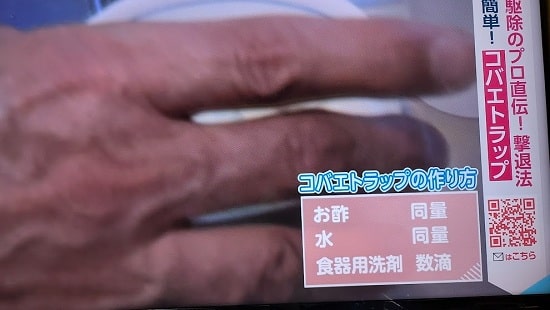 引用【あさイチ】コバエ対策