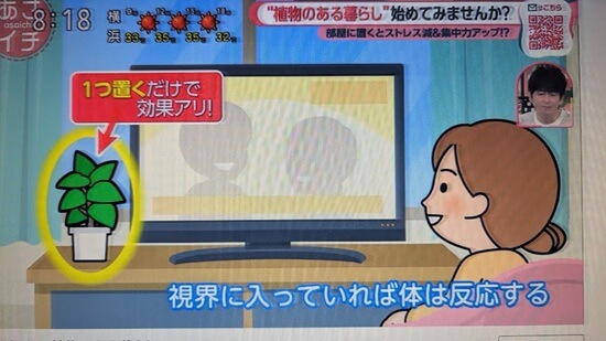 テレビの横に1つ置くだけ!岩崎寛教授が教える配置のハピ技