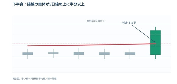 下半身：陽線の体が5日線の上に半分以上